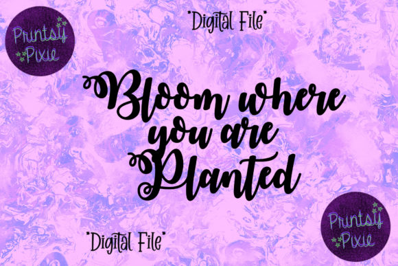 Bloom Where You Are Planted Motivation Graphics for Crafts